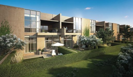 Senses At The Fields